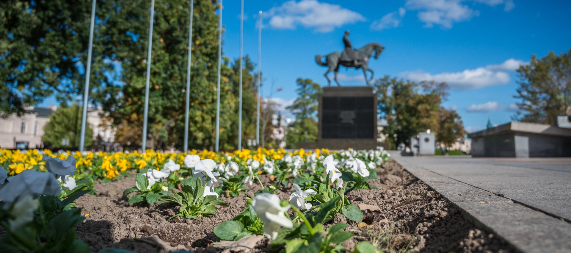 Jesienna metamorfoza placów w Lublinie – 4,5 tysiąca kwiatów ozdobi centrum miasta